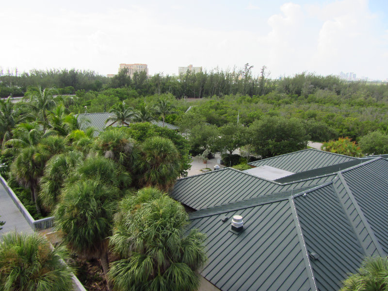 Anne-Kolb-Nature-Center-West-Lake-Park-Hollywood-FL-007