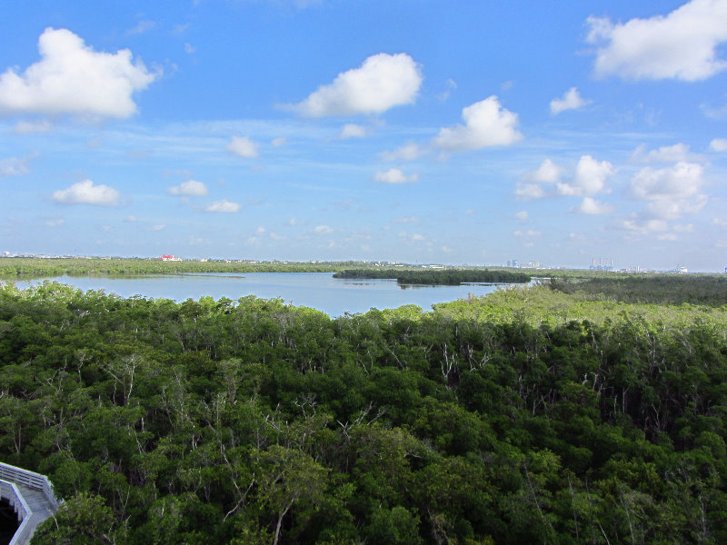 Anne-Kolb-Nature-Center-West-Lake-Park-Hollywood-FL-010