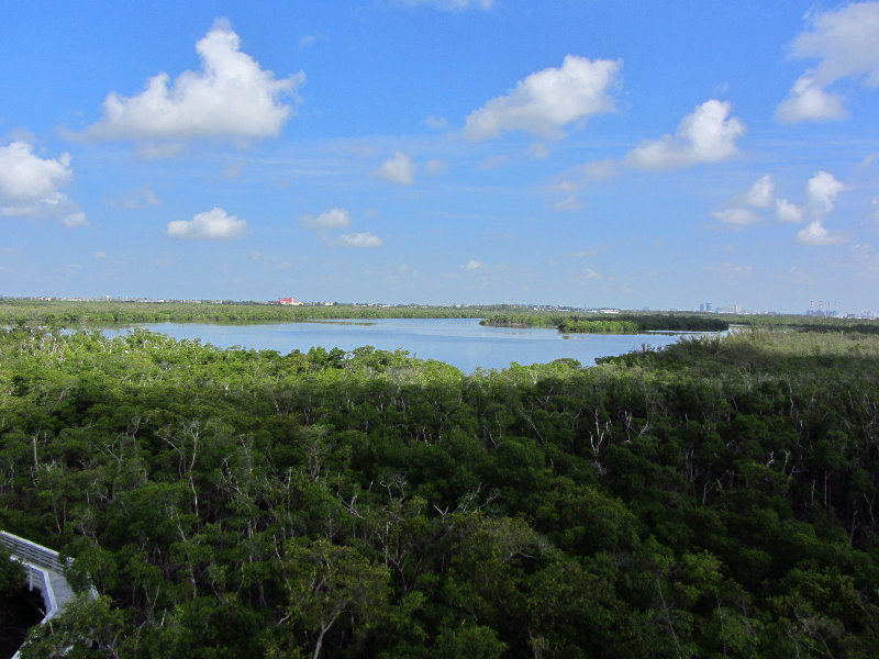 Anne-Kolb-Nature-Center-West-Lake-Park-Hollywood-FL-012