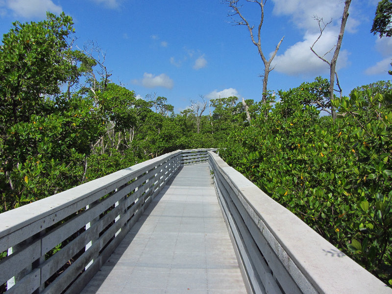 Anne-Kolb-Nature-Center-West-Lake-Park-Hollywood-FL-020