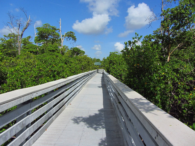 Anne-Kolb-Nature-Center-West-Lake-Park-Hollywood-FL-022