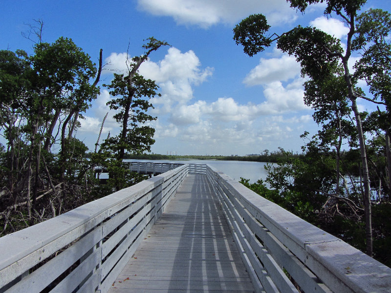 Anne-Kolb-Nature-Center-West-Lake-Park-Hollywood-FL-023