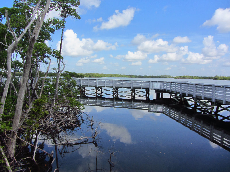 Anne-Kolb-Nature-Center-West-Lake-Park-Hollywood-FL-025