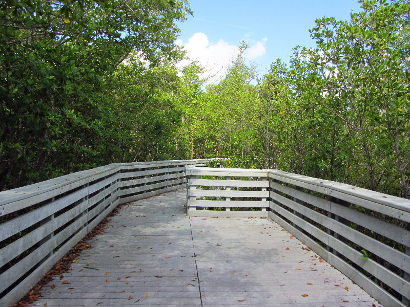 Anne-Kolb-Nature-Center-West-Lake-Park-Hollywood-FL-030
