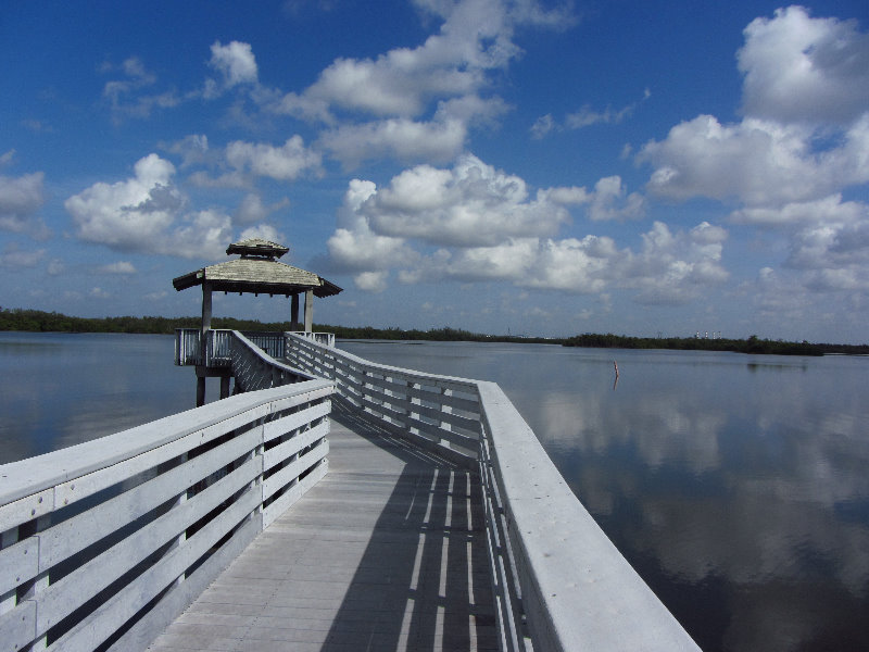 Anne-Kolb-Nature-Center-West-Lake-Park-Hollywood-FL-031