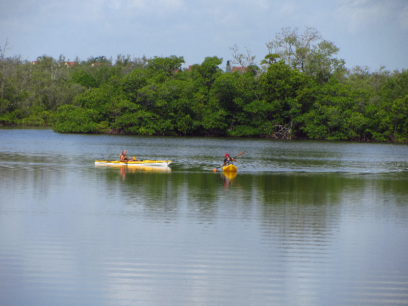 Anne-Kolb-Nature-Center-West-Lake-Park-Hollywood-FL-032