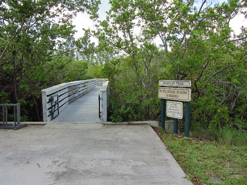 Anne-Kolb-Nature-Center-West-Lake-Park-Hollywood-FL-058