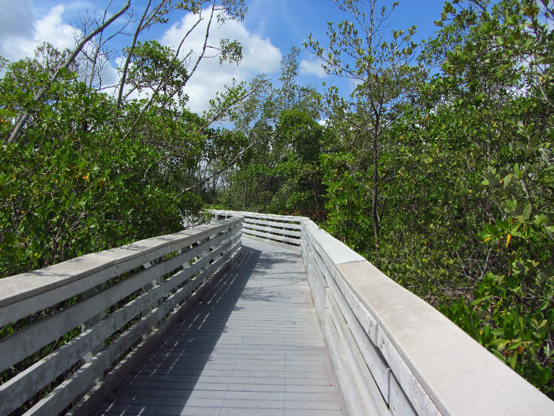 Anne-Kolb-Nature-Center-West-Lake-Park-Hollywood-FL-060