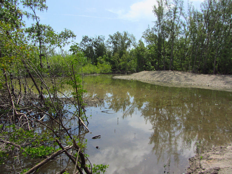 Anne-Kolb-Nature-Center-West-Lake-Park-Hollywood-FL-061