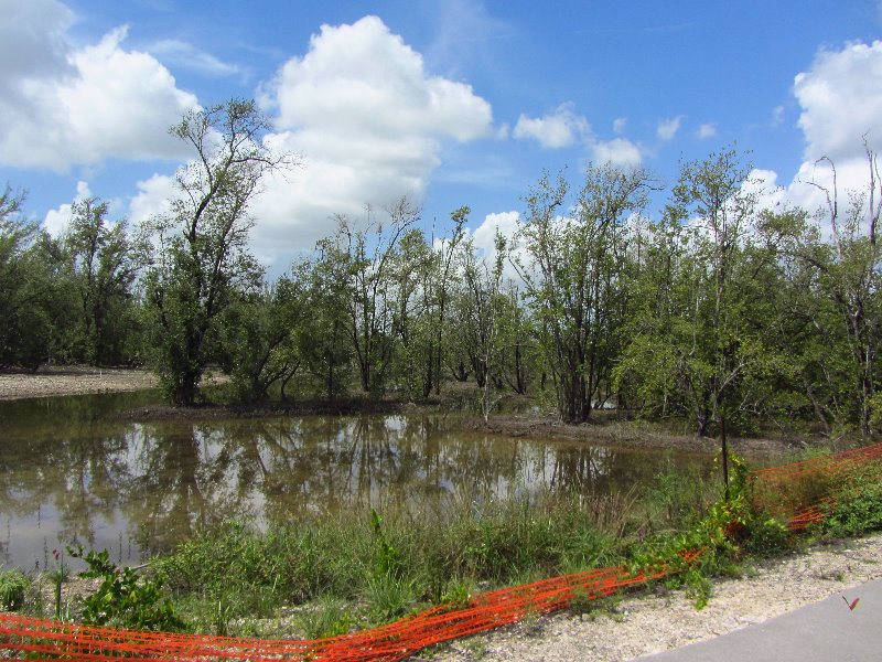 Anne-Kolb-Nature-Center-West-Lake-Park-Hollywood-FL-062