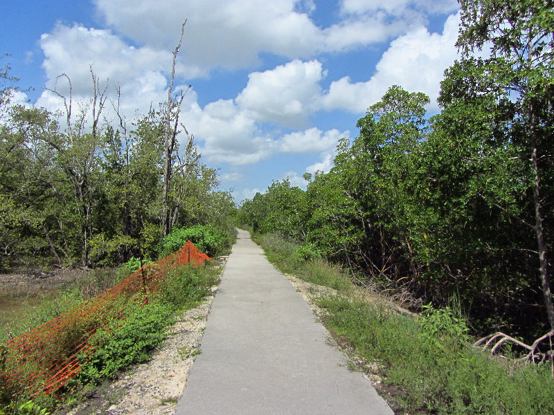 Anne-Kolb-Nature-Center-West-Lake-Park-Hollywood-FL-063