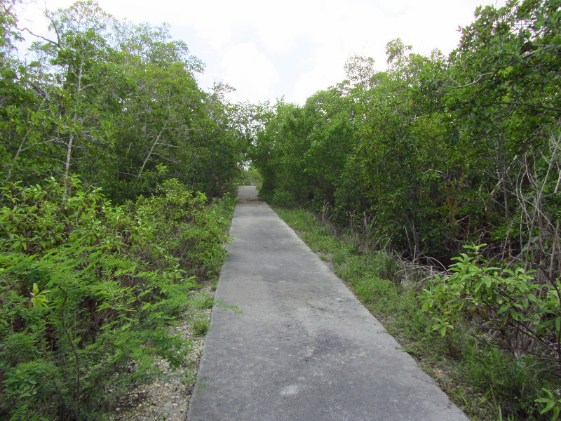 Anne-Kolb-Nature-Center-West-Lake-Park-Hollywood-FL-067