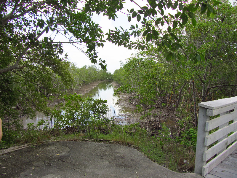 Anne-Kolb-Nature-Center-West-Lake-Park-Hollywood-FL-070