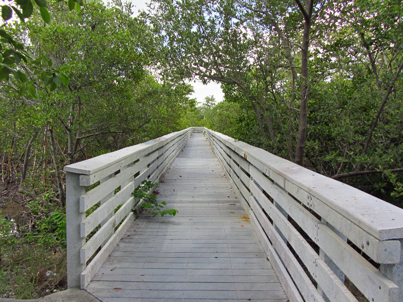 Anne-Kolb-Nature-Center-West-Lake-Park-Hollywood-FL-071