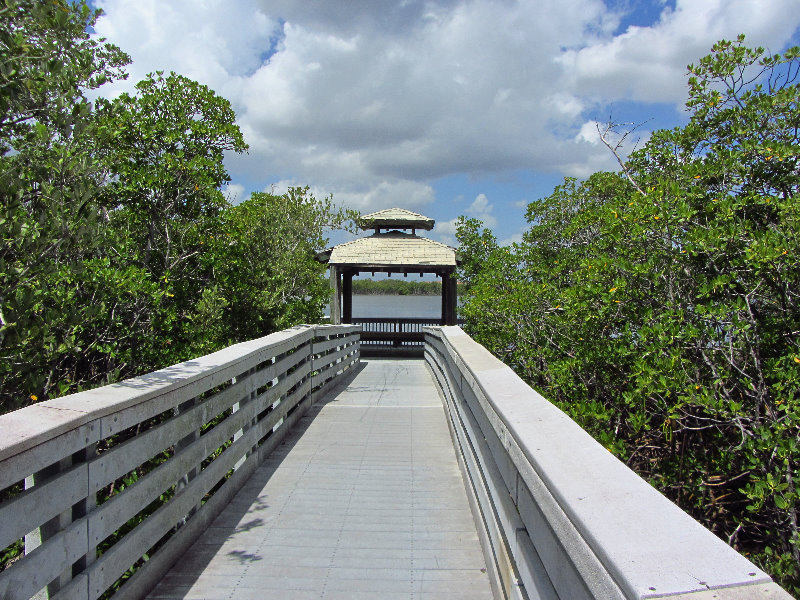 Anne-Kolb-Nature-Center-West-Lake-Park-Hollywood-FL-073