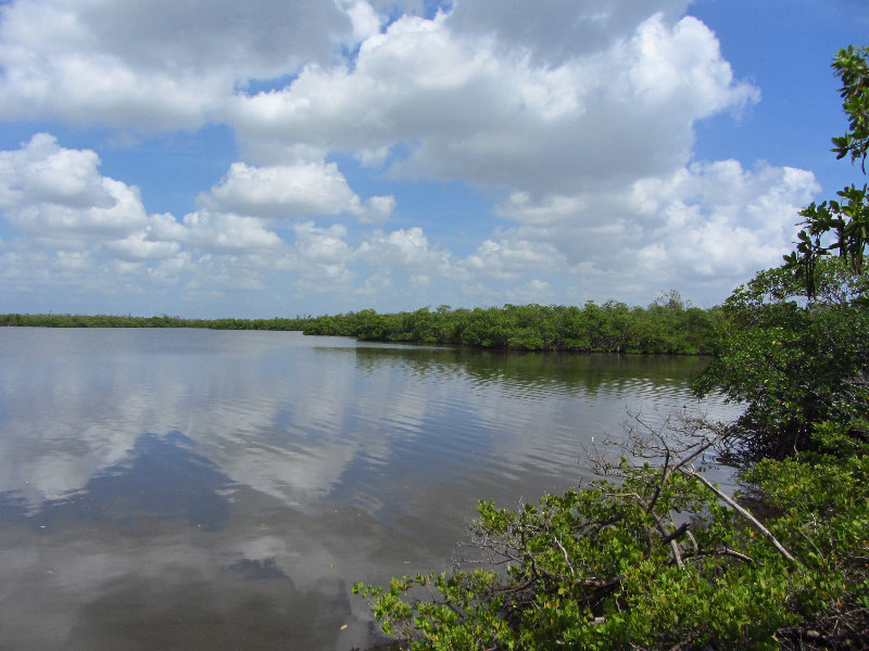 Anne-Kolb-Nature-Center-West-Lake-Park-Hollywood-FL-074