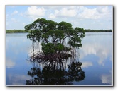 Anne-Kolb-Nature-Center-West-Lake-Park-Hollywood-FL-026