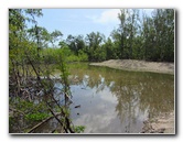 Anne-Kolb-Nature-Center-West-Lake-Park-Hollywood-FL-061