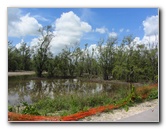 Anne-Kolb-Nature-Center-West-Lake-Park-Hollywood-FL-062