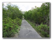 Anne-Kolb-Nature-Center-West-Lake-Park-Hollywood-FL-067