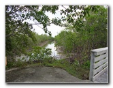 Anne-Kolb-Nature-Center-West-Lake-Park-Hollywood-FL-070