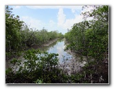 Anne-Kolb-Nature-Center-West-Lake-Park-Hollywood-FL-072