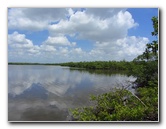 Anne-Kolb-Nature-Center-West-Lake-Park-Hollywood-FL-074