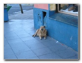 Buenos-Aires-Argentina-066