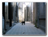 Buenos-Aires-Argentina-075