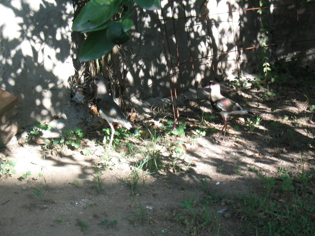 Villa-Maria-Pictures-01