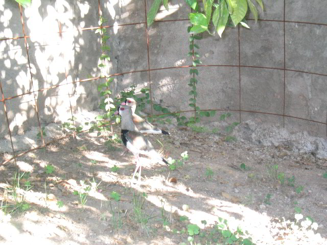 Villa-Maria-Pictures-02