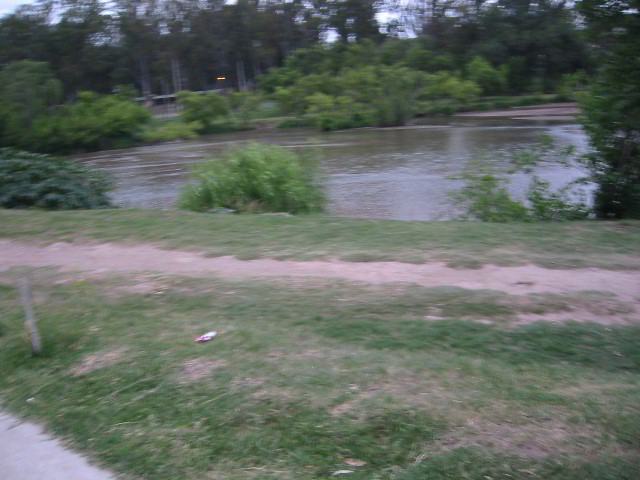 Villa-Maria-Pictures-07