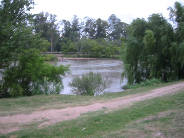 Villa-Maria-Pictures-08