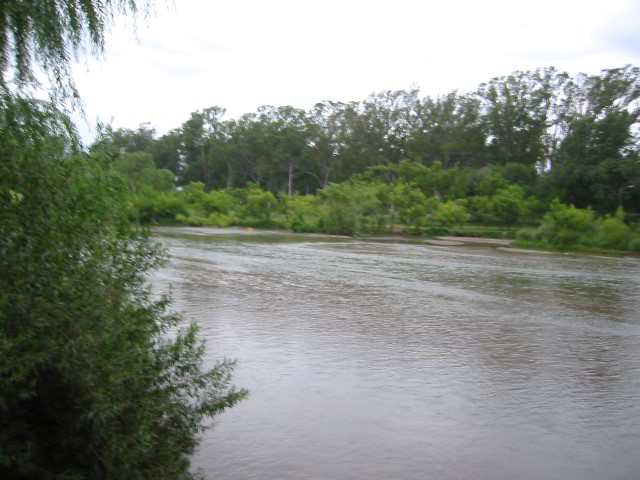 Villa-Maria-Pictures-10