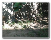 Villa-Maria-Pictures-01