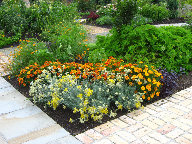 Auckland-Botanic-Gardens-Manukau-North-Island-New-Zealand-007