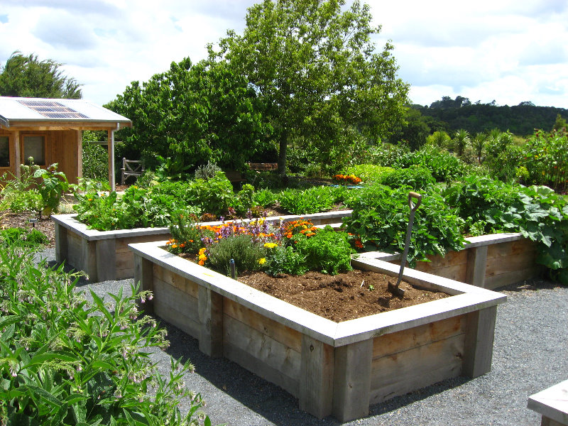 Auckland-Botanic-Gardens-Manukau-North-Island-New-Zealand-009