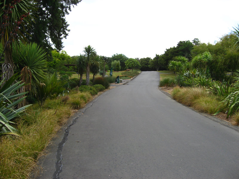 Auckland-Botanic-Gardens-Manukau-North-Island-New-Zealand-024