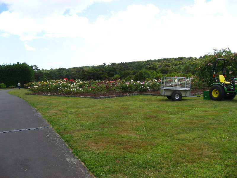 Auckland-Botanic-Gardens-Manukau-North-Island-New-Zealand-033