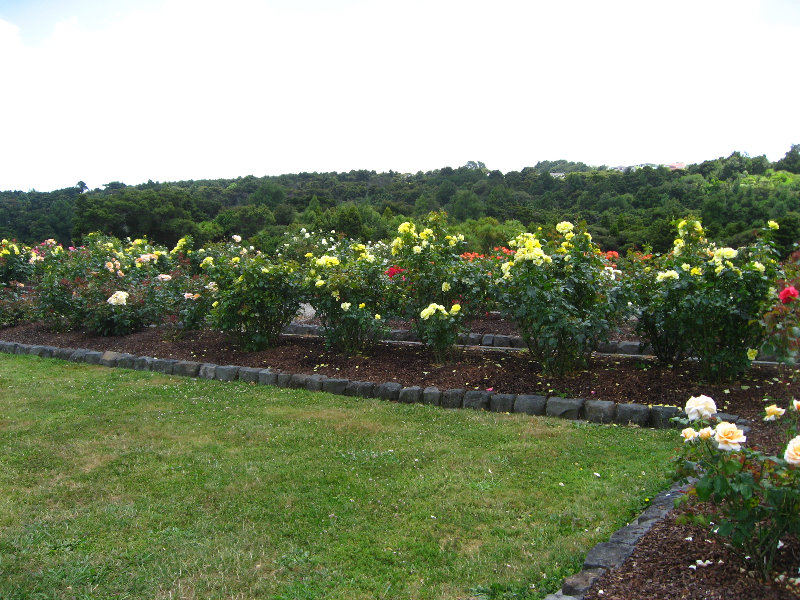 Auckland-Botanic-Gardens-Manukau-North-Island-New-Zealand-034