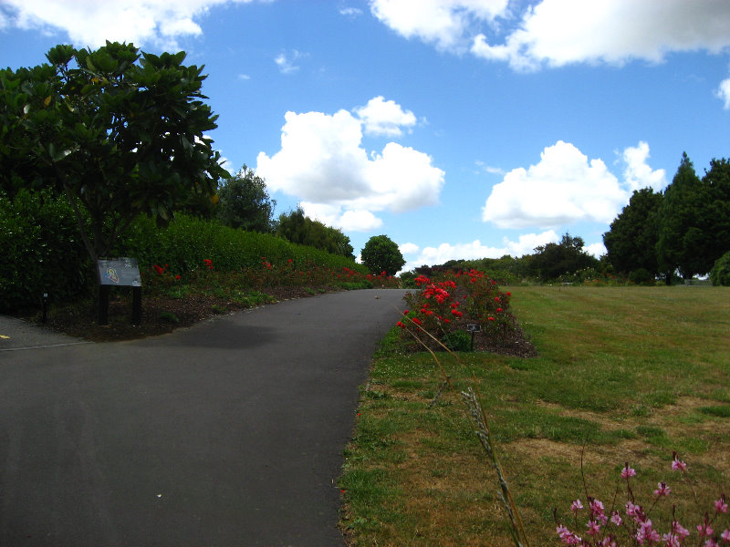 Auckland-Botanic-Gardens-Manukau-North-Island-New-Zealand-047
