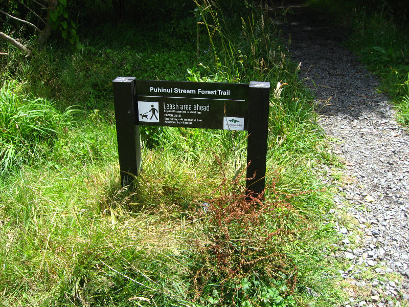 Auckland-Botanic-Gardens-Manukau-North-Island-New-Zealand-052