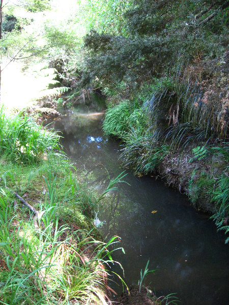 Auckland-Botanic-Gardens-Manukau-North-Island-New-Zealand-053