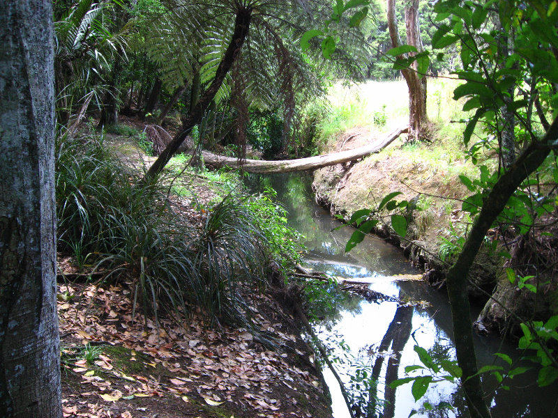 Auckland-Botanic-Gardens-Manukau-North-Island-New-Zealand-054