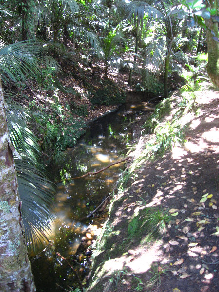 Auckland-Botanic-Gardens-Manukau-North-Island-New-Zealand-061