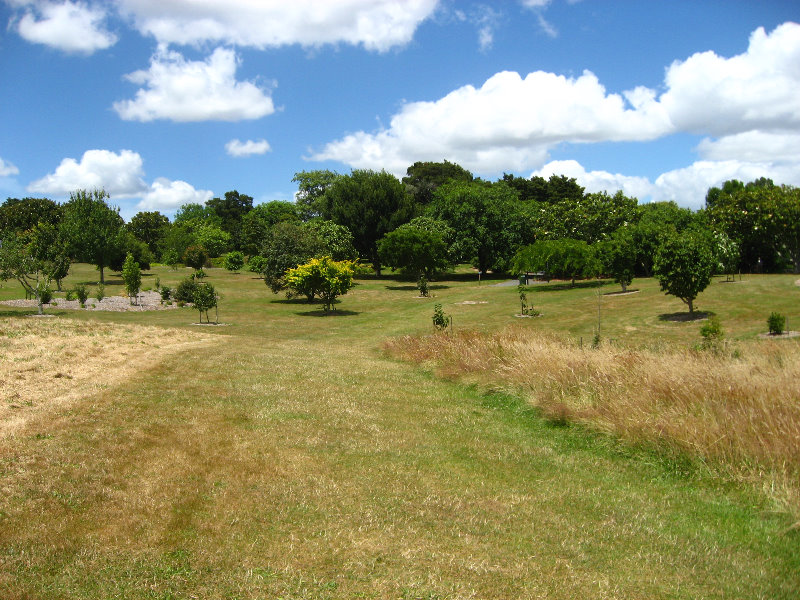 Auckland-Botanic-Gardens-Manukau-North-Island-New-Zealand-062
