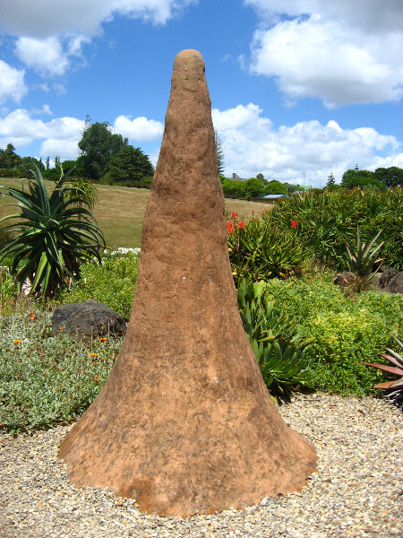 Auckland-Botanic-Gardens-Manukau-North-Island-New-Zealand-091