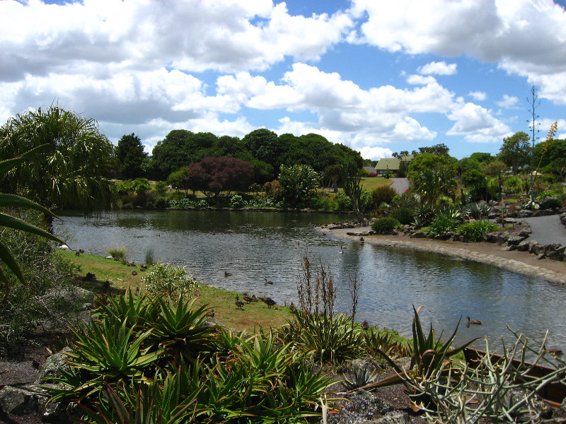 Auckland-Botanic-Gardens-Manukau-North-Island-New-Zealand-113