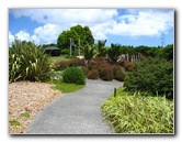 Auckland-Botanic-Gardens-Manukau-North-Island-New-Zealand-019