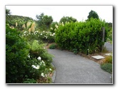 Auckland-Botanic-Gardens-Manukau-North-Island-New-Zealand-050